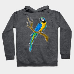 Ara Bird Hoodie